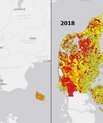 The image shows the number of cattle per hectare in Denmark in 1898 and 2018, respectively. This data shows that over around a century, cattle farming moved from fertile soils in the east to more sandy - and cheaper - soils in the west. This type of GIS d